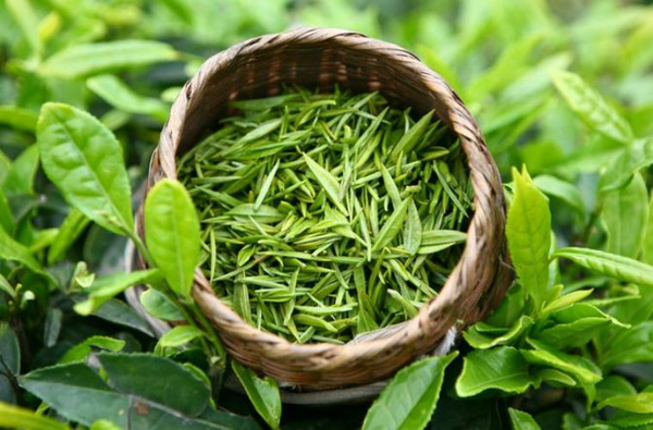 Triết lý Thiên Địa Nhân trong trà đạo (Phần 2)